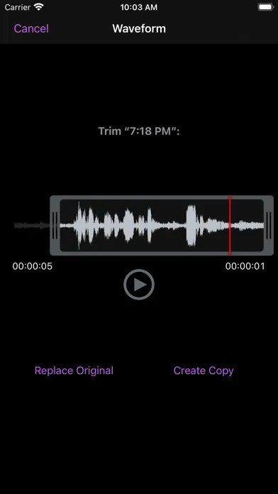 تصاویر You Record Pro